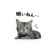 853336642