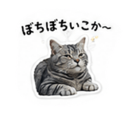 853336646
