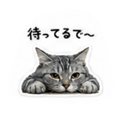 853336648