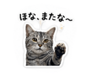 853336656