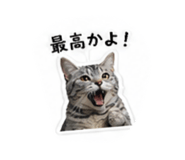 853336661