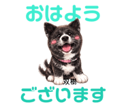 853336746