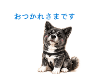 853336747