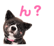 853336752