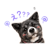 853336753