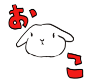 853337038