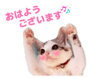 853337753