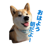 853337778