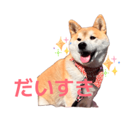 853337783