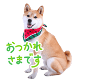 853337786