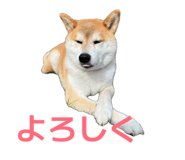 853337787