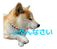 853337788