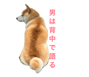 853337789