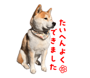 853337790