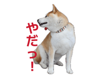 853337791