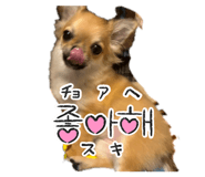 853338110