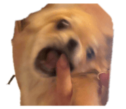 853338119