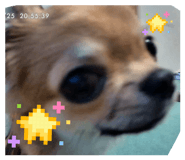 853338120