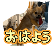 853338128