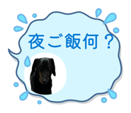 853338242