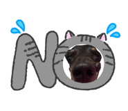 853338248