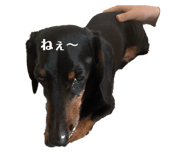 853338252