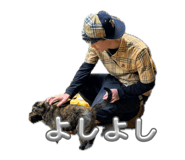 853338264