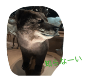 853338433
