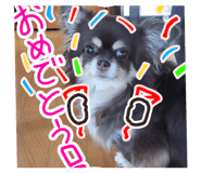 853338538
