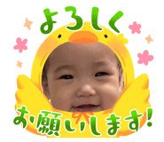 853338585