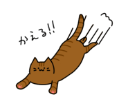 853338984
