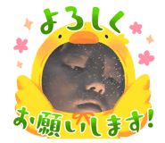 853339050