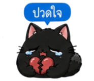 853339579