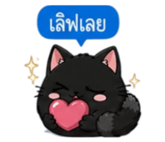 853339581