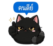 853339584