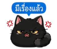 853339586