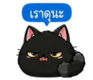 853339589