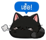 853339594