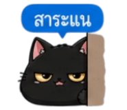 853339595