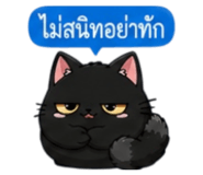 853339602
