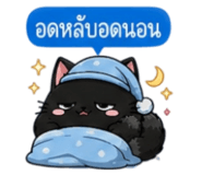 853339604
