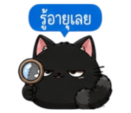853339607