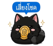 853339608