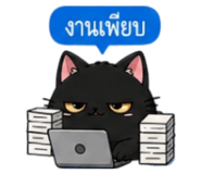 853339862