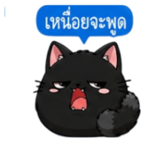 853339864
