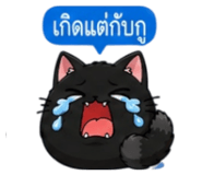 853339872