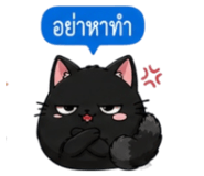 853339876