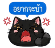853339885