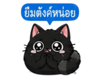 853339886
