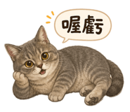 853340510